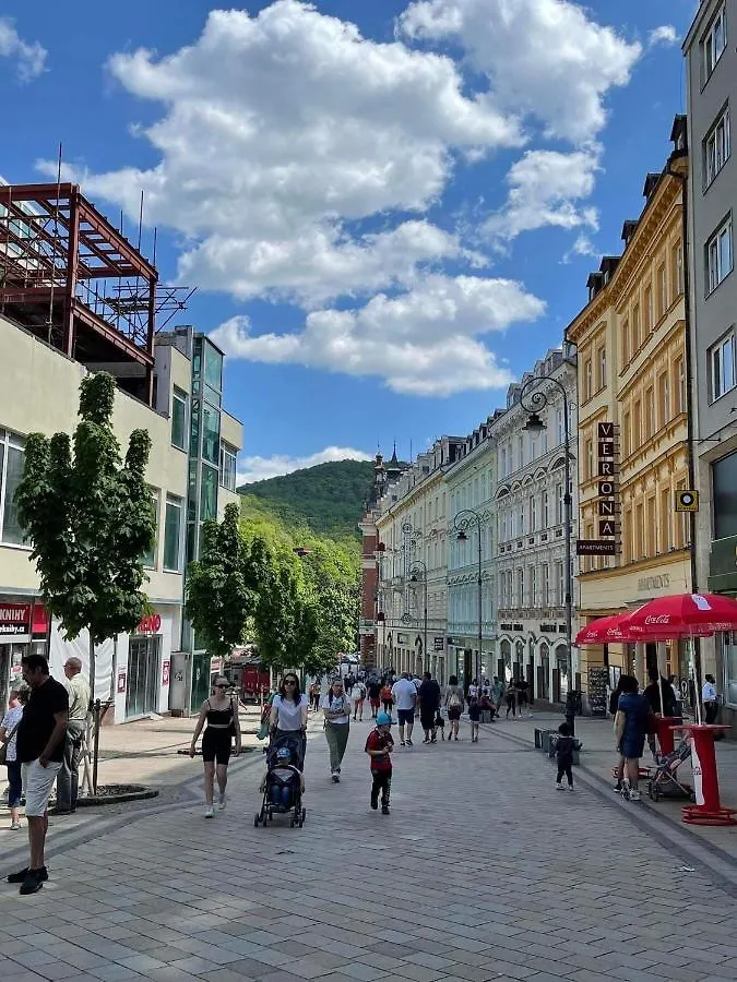 Apartment Th Karlovy Vary Česká republika